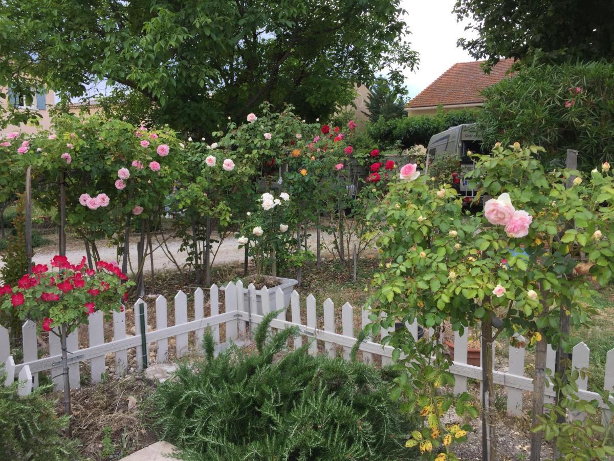 La Ferme De Tonton Jules Et Mame Julia Bed & Breakfast Entraigues-sur-la-Sorgue Exterior foto